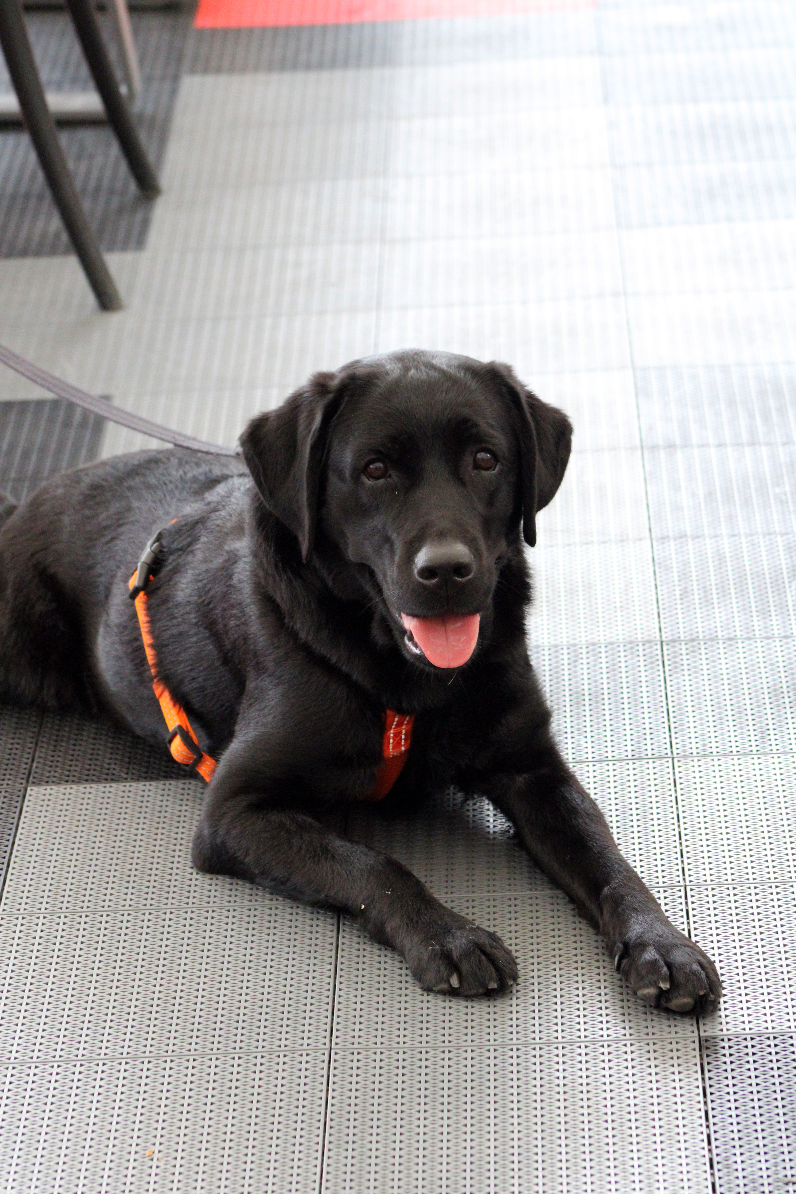 4ta Jornada Pádel - 6M - CIVB20