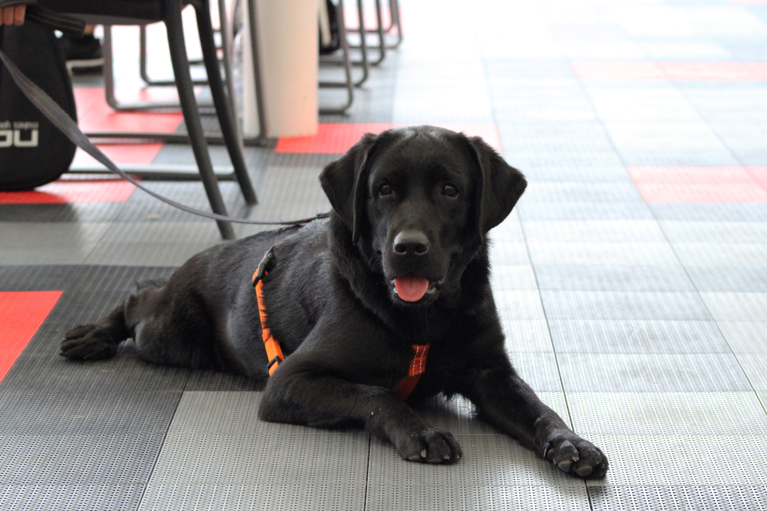 4ta Jornada Pádel - 6M - CIVB22